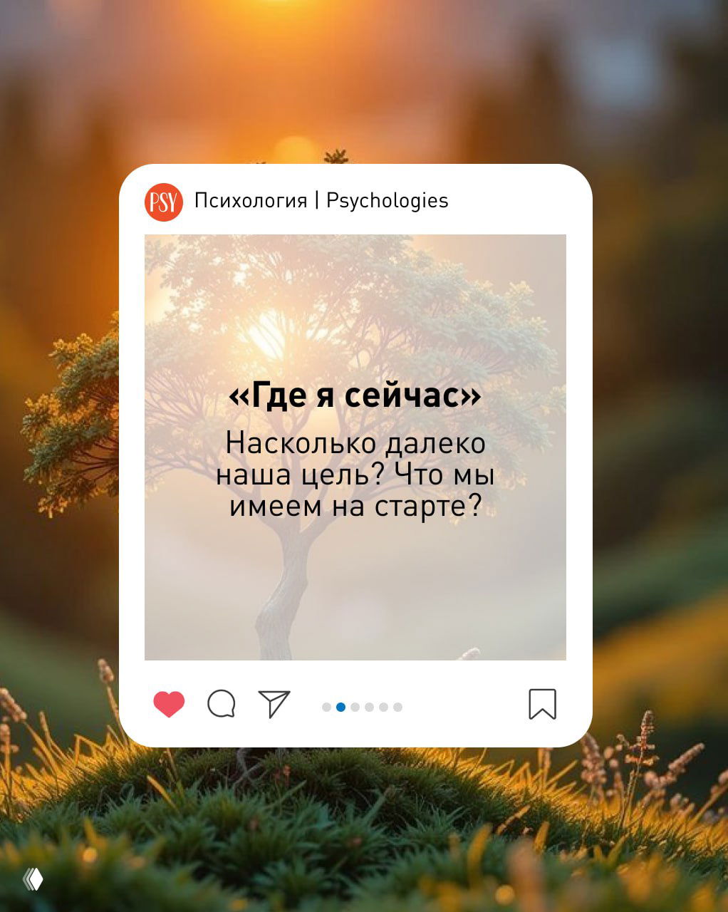 Слайд с текстом «Где я сейчас»: вопрос о положении цели на старте на фоне дерева и тёплого солнечного света, мягкая палитра.