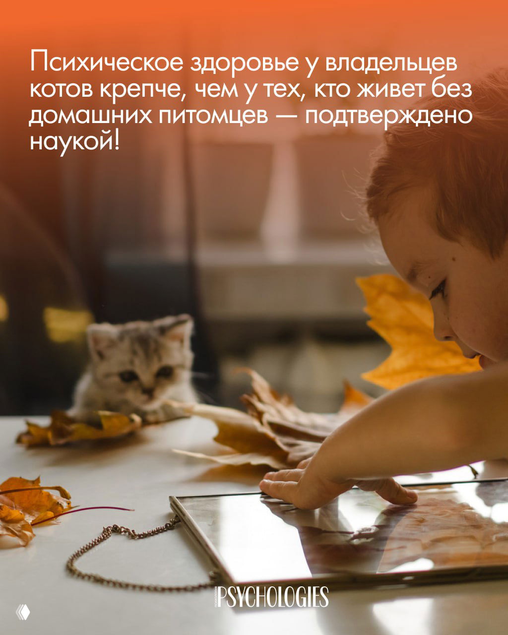 Ребёнок у планшета на столе, рядом маленькая кошка среди листьев; кадр подчёркивает спокойное взаимодействие человека и питомца.