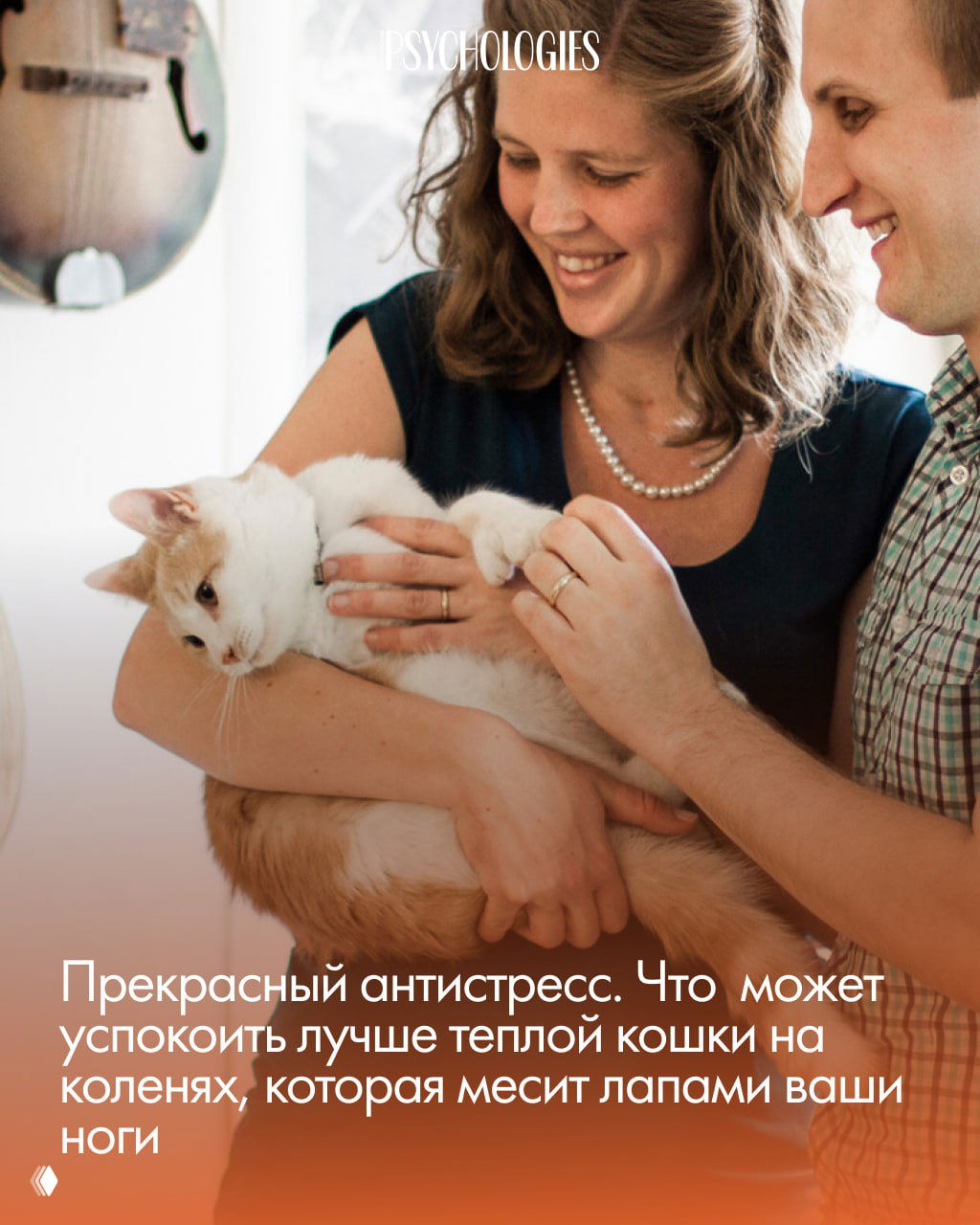 Счастливая пара держит бело-рыжую кошку на руках; кадр показывает тёплые эмоции владельцев и доверие питомца.