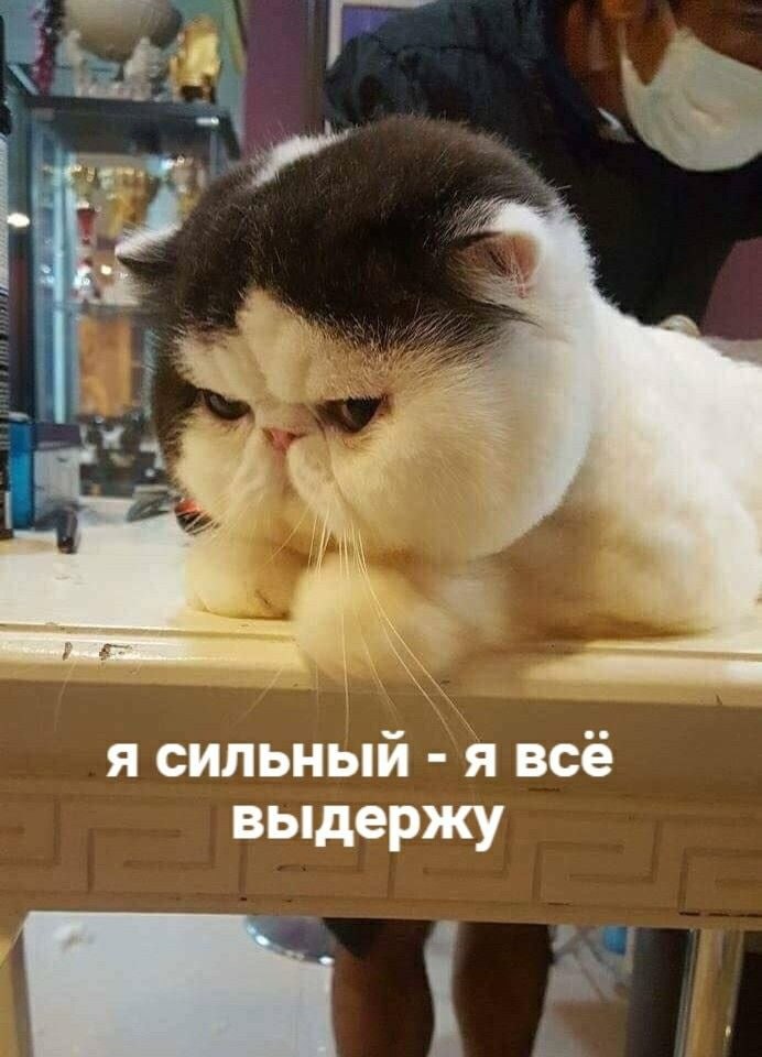 Не можете заснуть из-за тревожных мыслей?