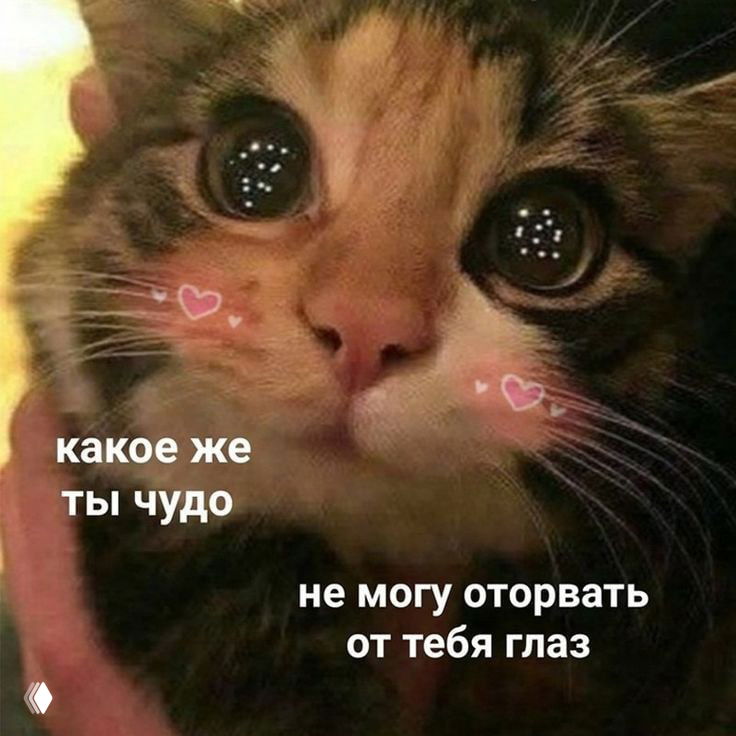 Комплименты снижают общий уровень тревожности, — врачи