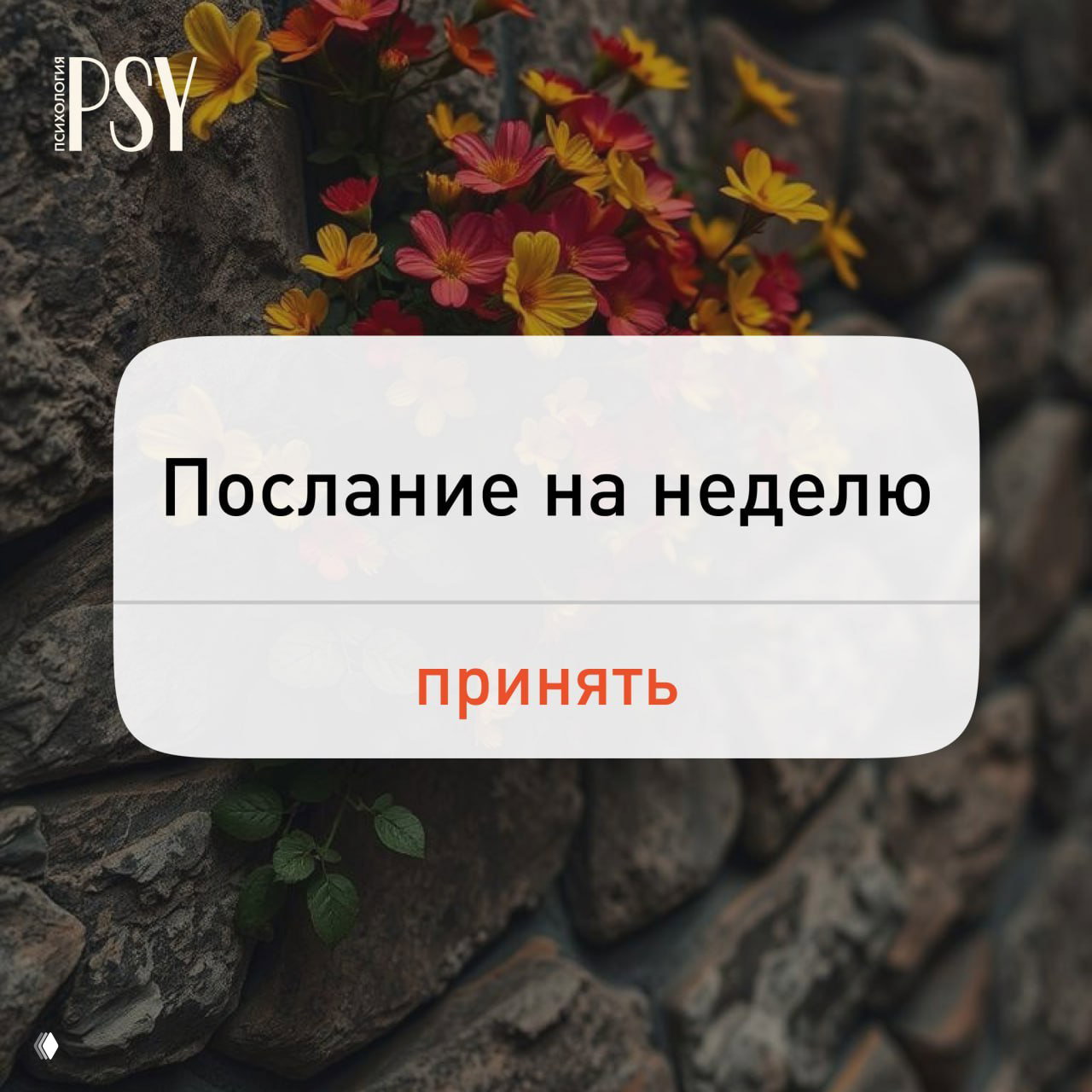 Закройте глаза и выберите цифру от 1 до 5
