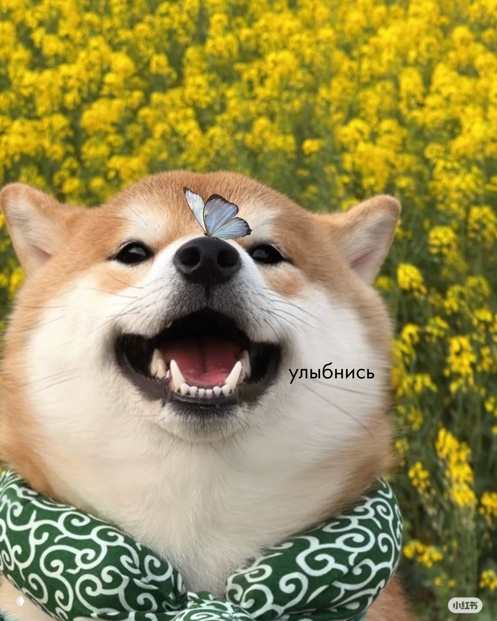 Улыбка может улучшить настроение