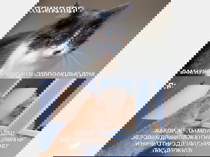 Вертикальный мем: сверху надпись «психолог: вам нужно хвалить себя», снизу изображение двух котов на диване и мотивационный текст.