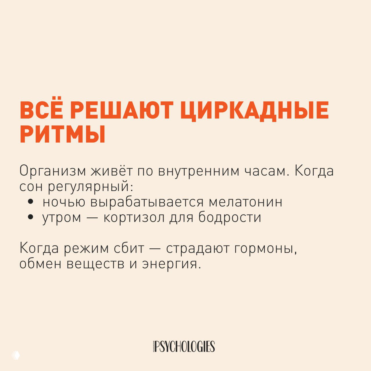 Слайд с заголовком «Всё решают циркадные ритмы» и текстом о выработке мелатонина ночью и кортизола утром, объясняющим роль режима.