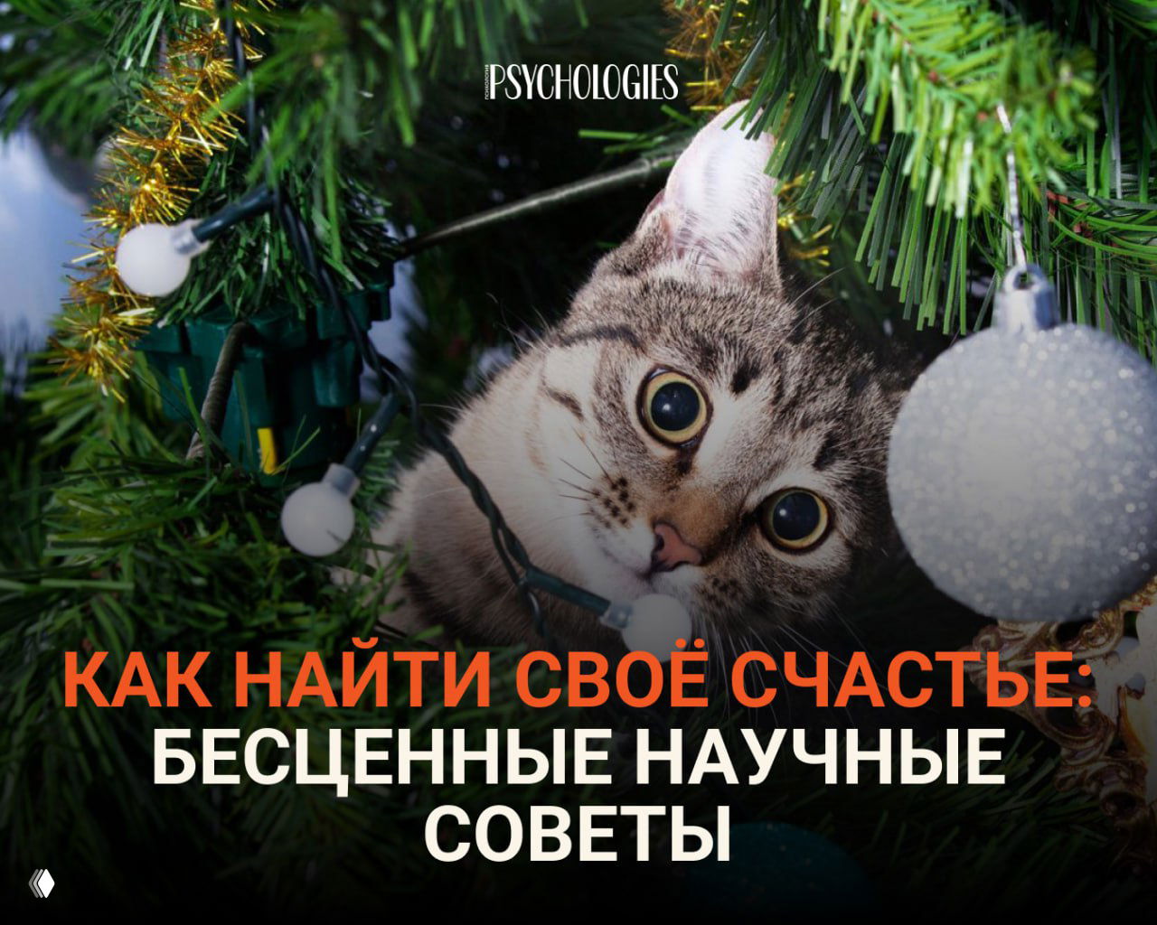 Как найти своё счастье: бесценные научные советы