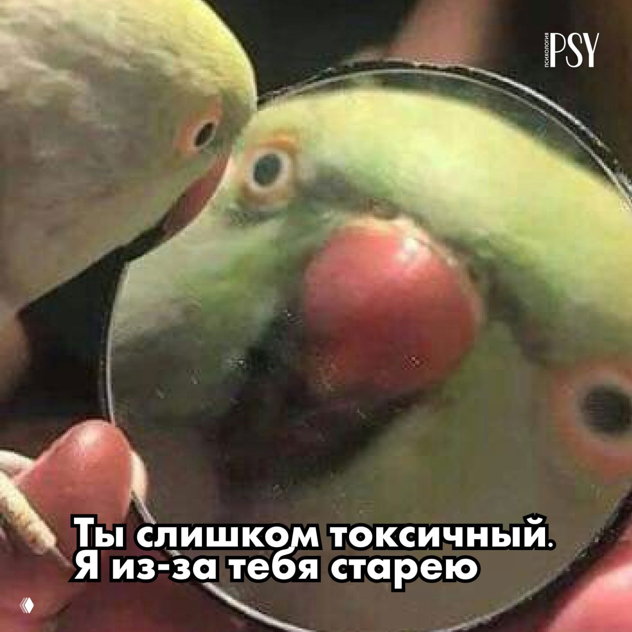 Общение с токсичными людьми ускоряет старение