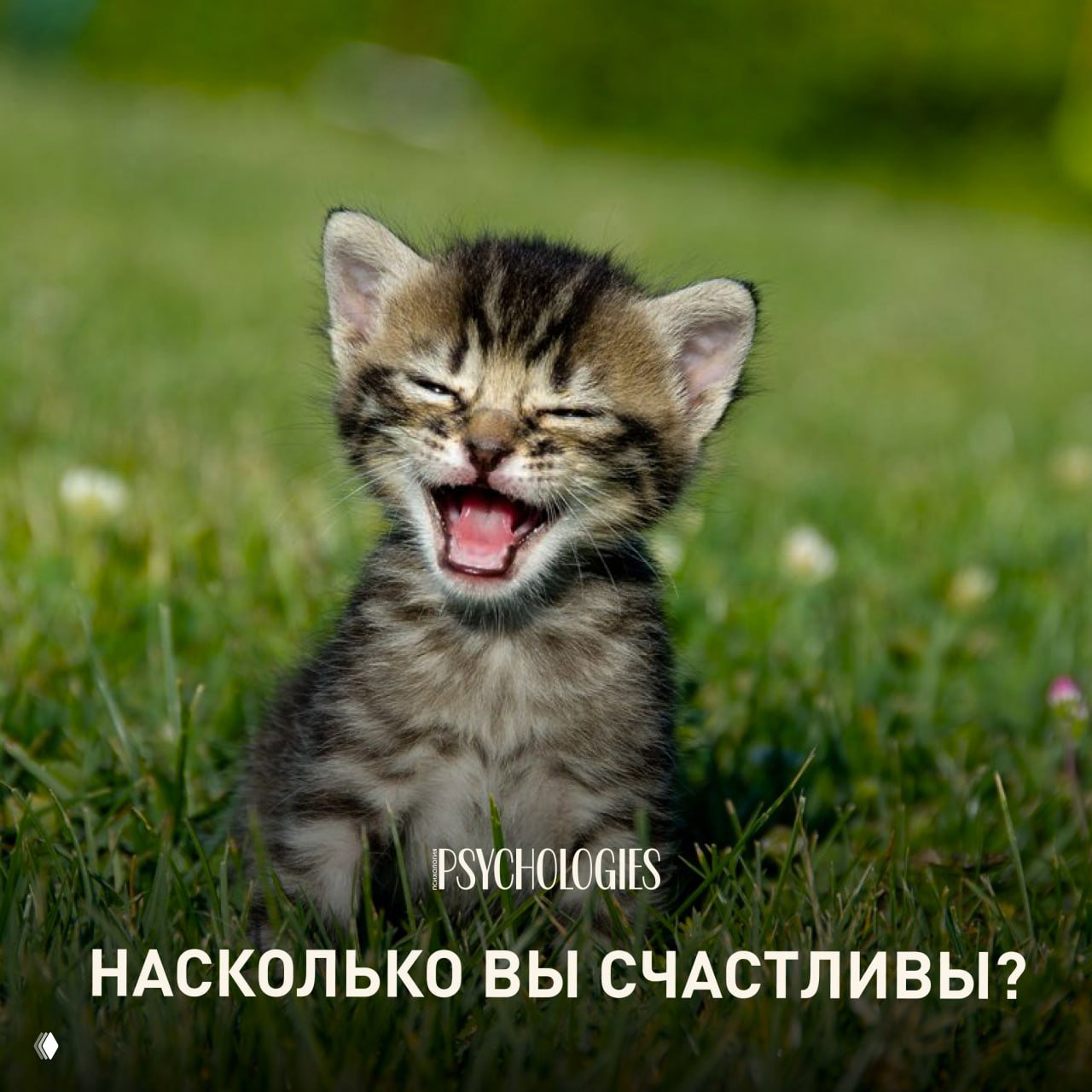 Насколько вы счастливы?