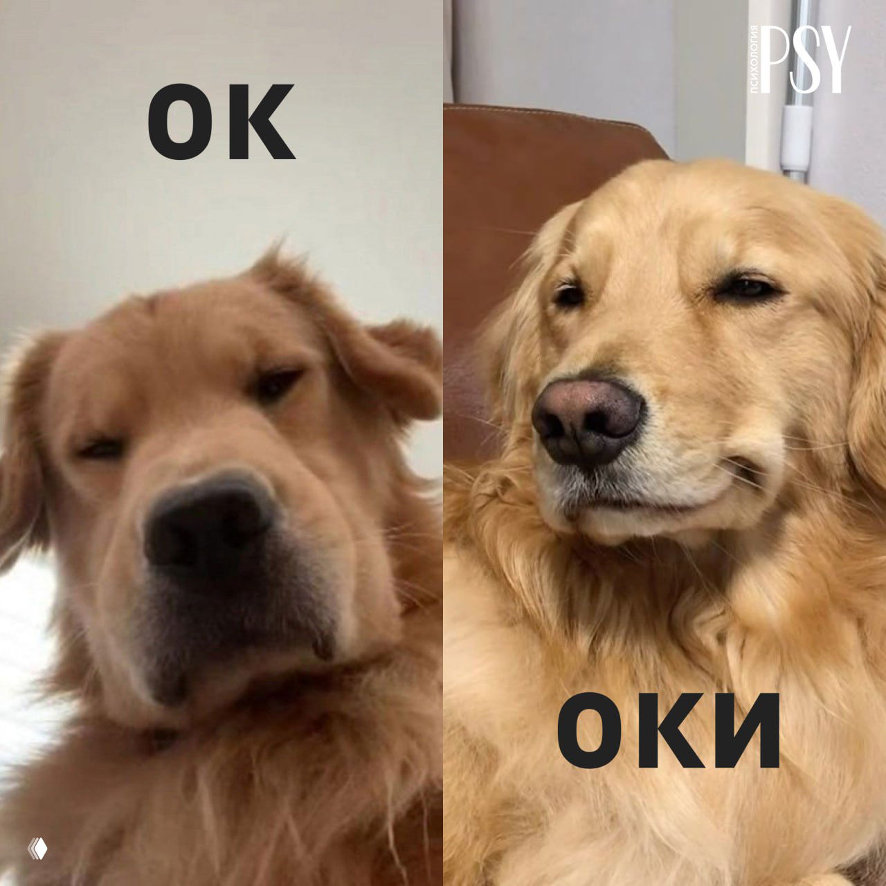 Слово «оки» снижает тревожность и уровень стресса