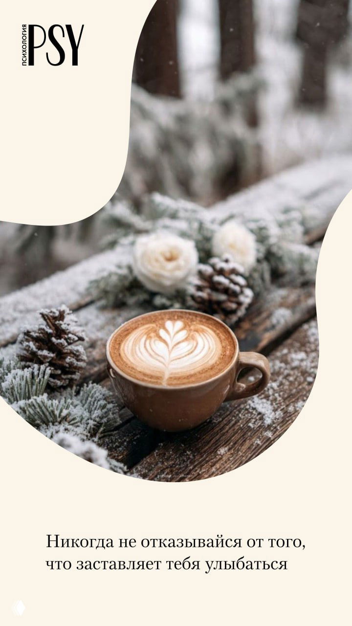 Чашка латте-арт на деревянной скамье, вокруг покрытые снегом еловые шишки и белые цветы; зимняя уютная композиция.