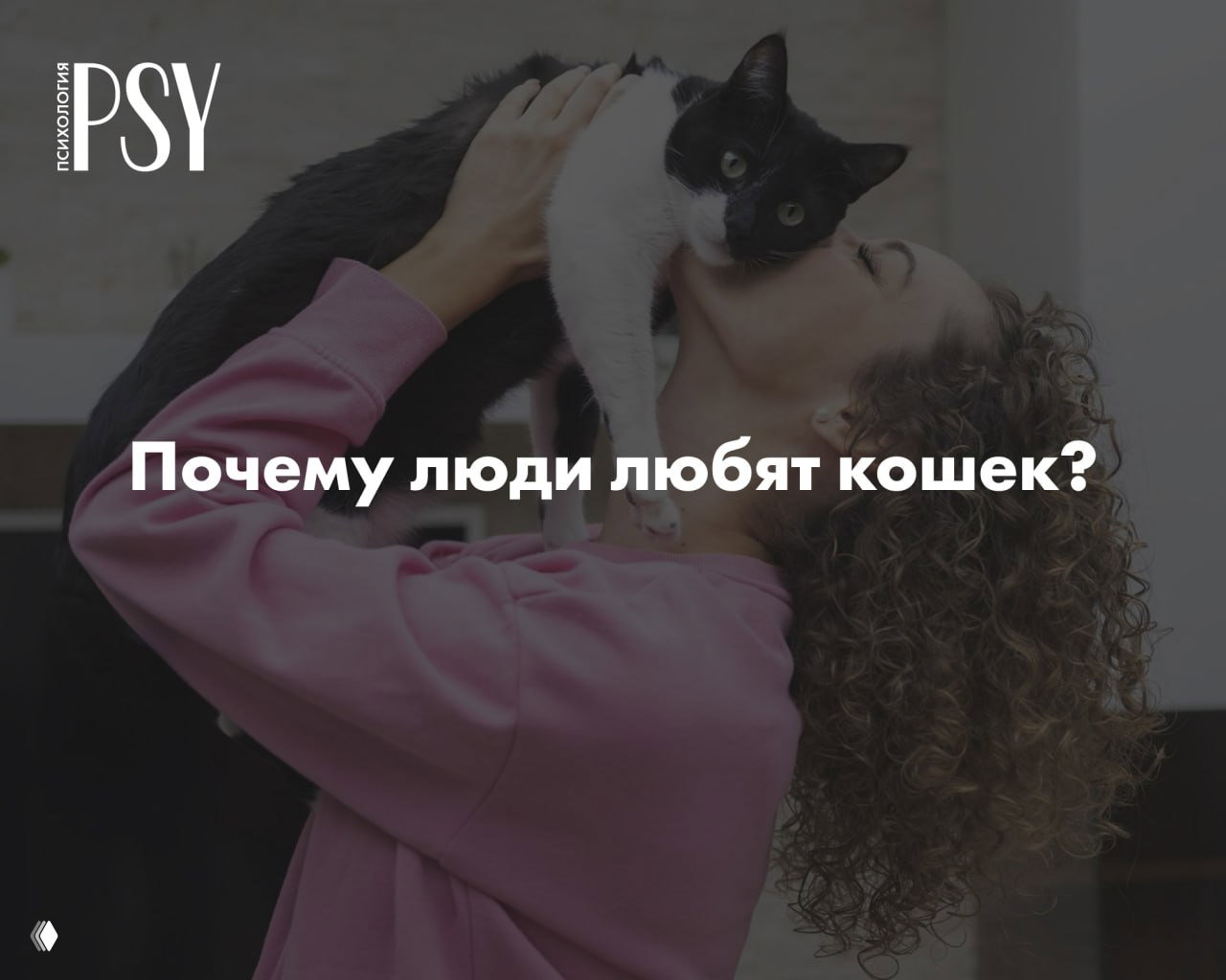 Почему люди любят кошек: 3 причины психологии