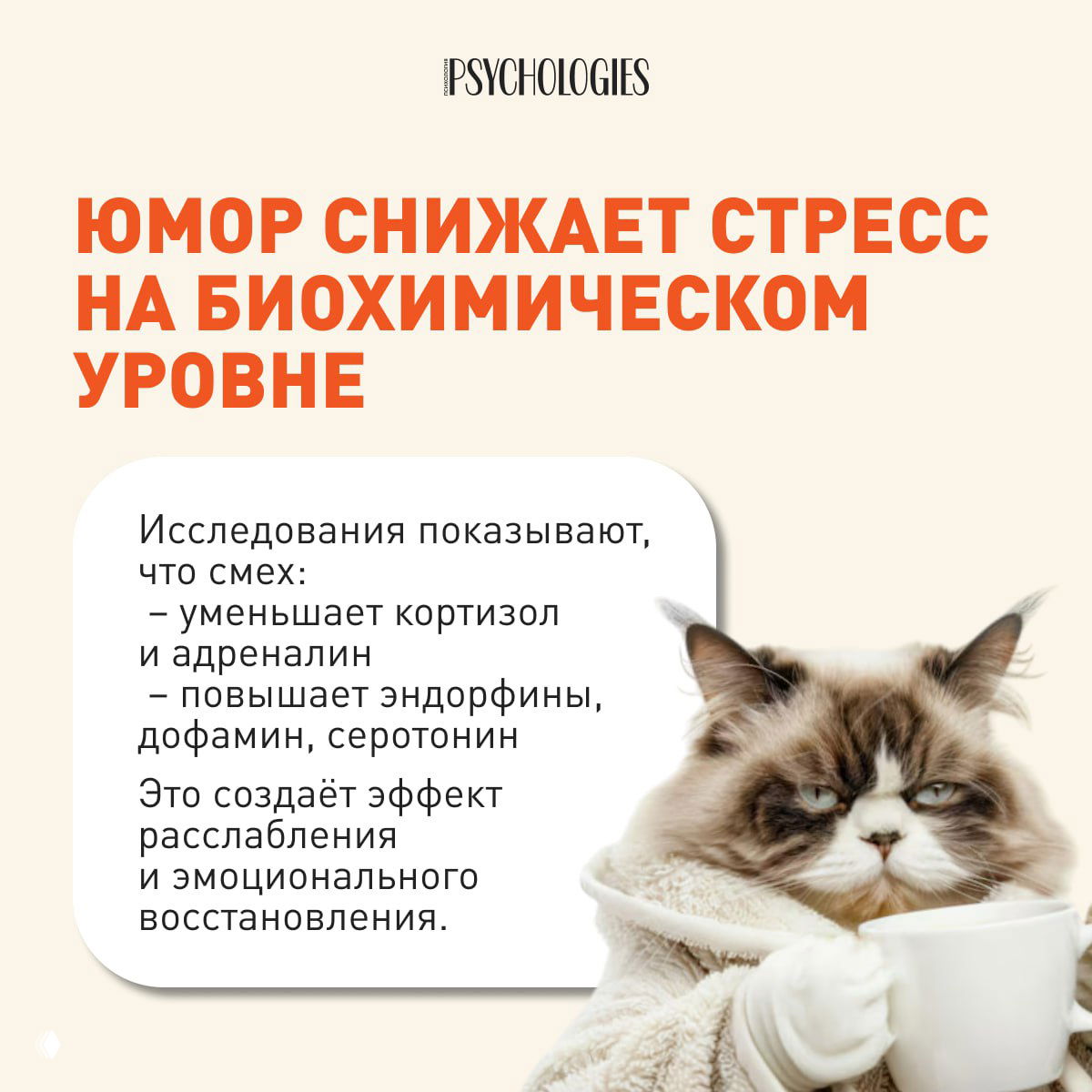 Инфографика о биохимическом эффекте смеха: уменьшение кортизола и повышение эндорфинов; рядом изображена пушистая кошка с чашкой.