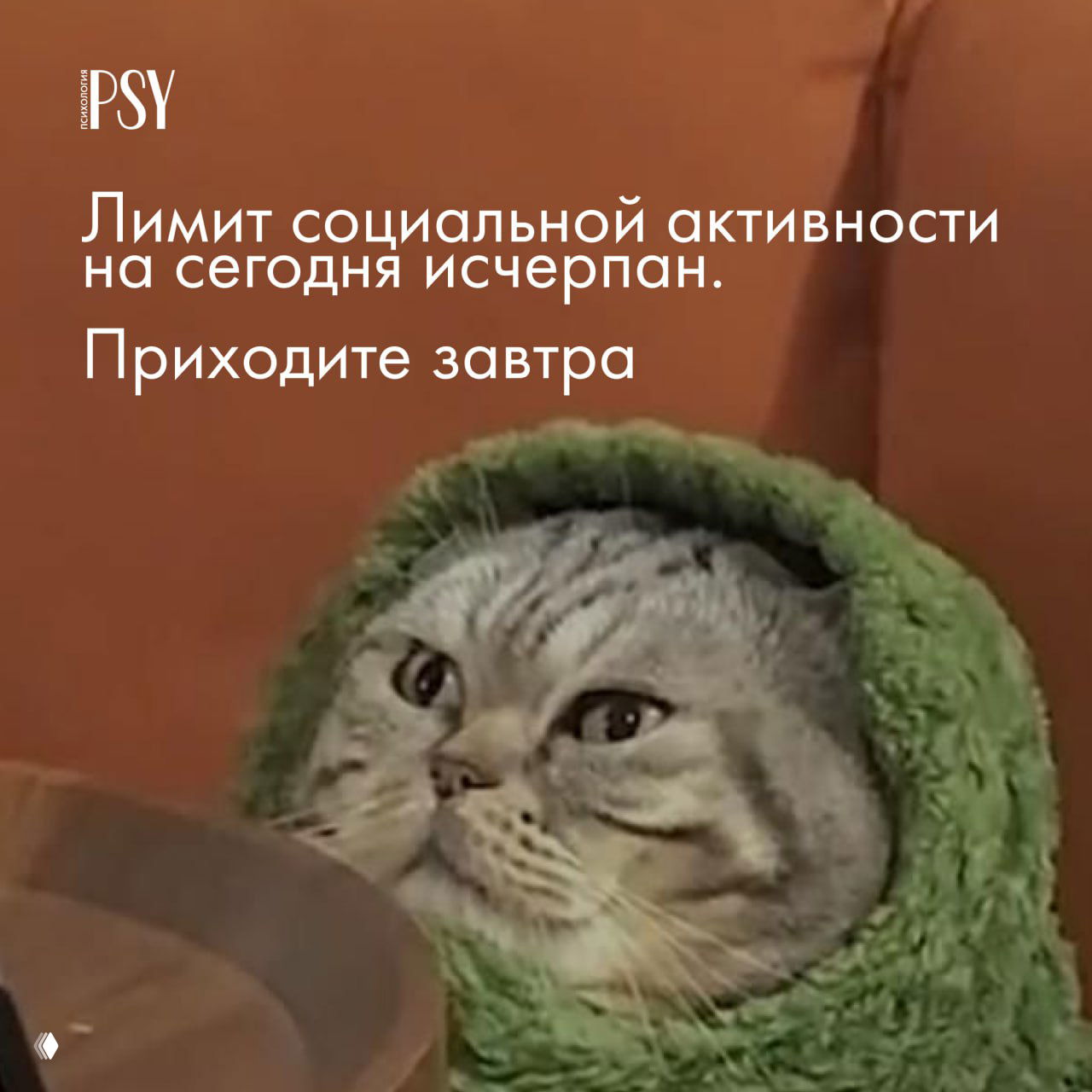 Проверьте себя на асоциальность