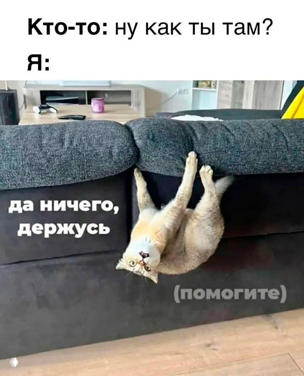 А вы как, держитесь?