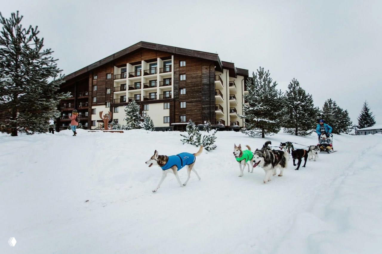 Заснеженный курорт с гостиницей и упряжкой хаски, собаки ведут сани мимо отеля — сцена зимних развлечений, сопутствующих масленичным гуляньям.