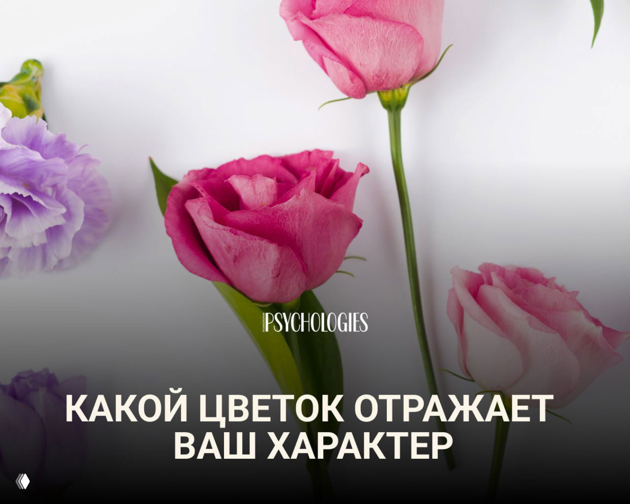 Тест: Какой цветок отражает ваш характер?