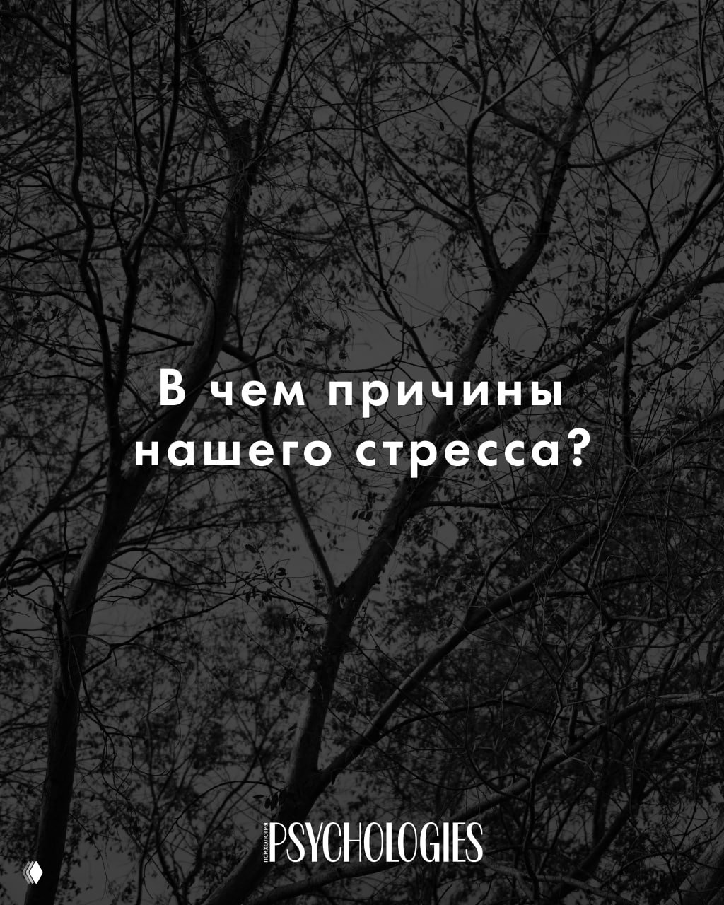 В объятиях стресса: антропологическая причина наших тревог