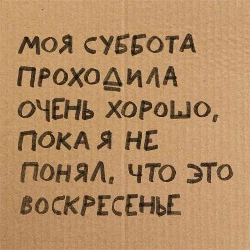 Картонная табличка с подписью «Моя суббота проходила очень хорошо, пока я не понял, что это воскресенье» — мем о путанице выходных и усталости от работы.