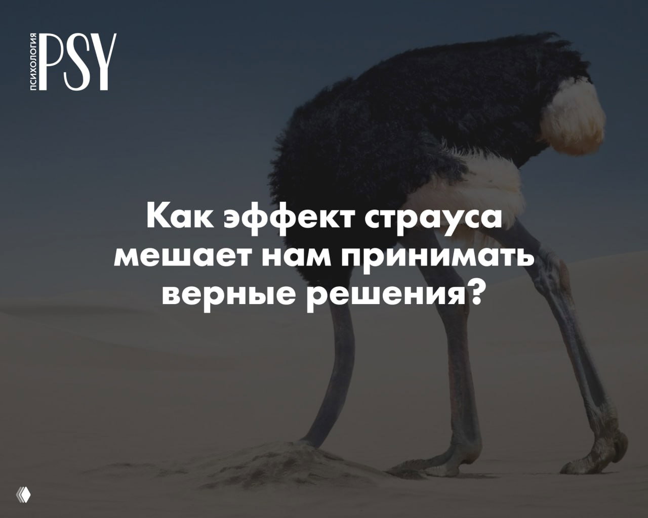 «Ничего не вижу, ничего не слышу»: эффект страуса