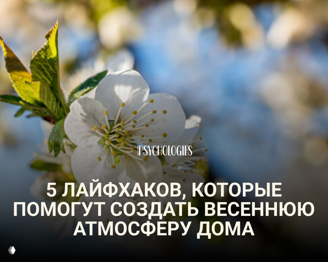 5 лайфхаков, которые помогут создать весеннюю атмосферу дома