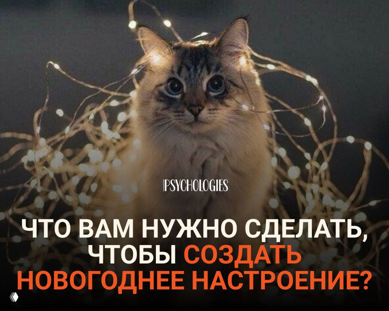Тест: Что нужно сделать, чтобы создать новогоднее настроение