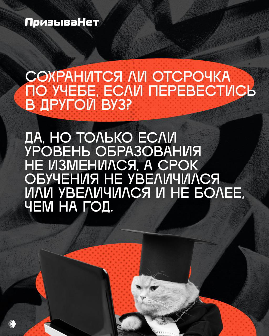 Шутливое изображение кота в академической шапочке за ноутбуком на фоне постера; слайд про перевод в другой вуз и сроки обучения.