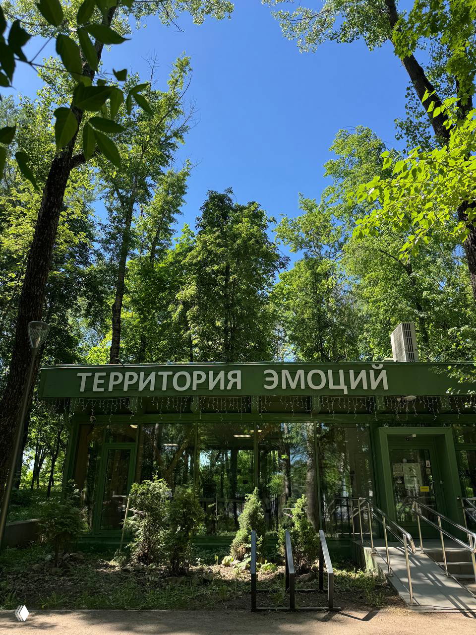 Фасад зелёного павильона с крупной вывеской «ТЕРРИТОРИЯ ЭМОЦИЙ», вокруг высокие деревья и летнее небо, место проведения встреч на природе.