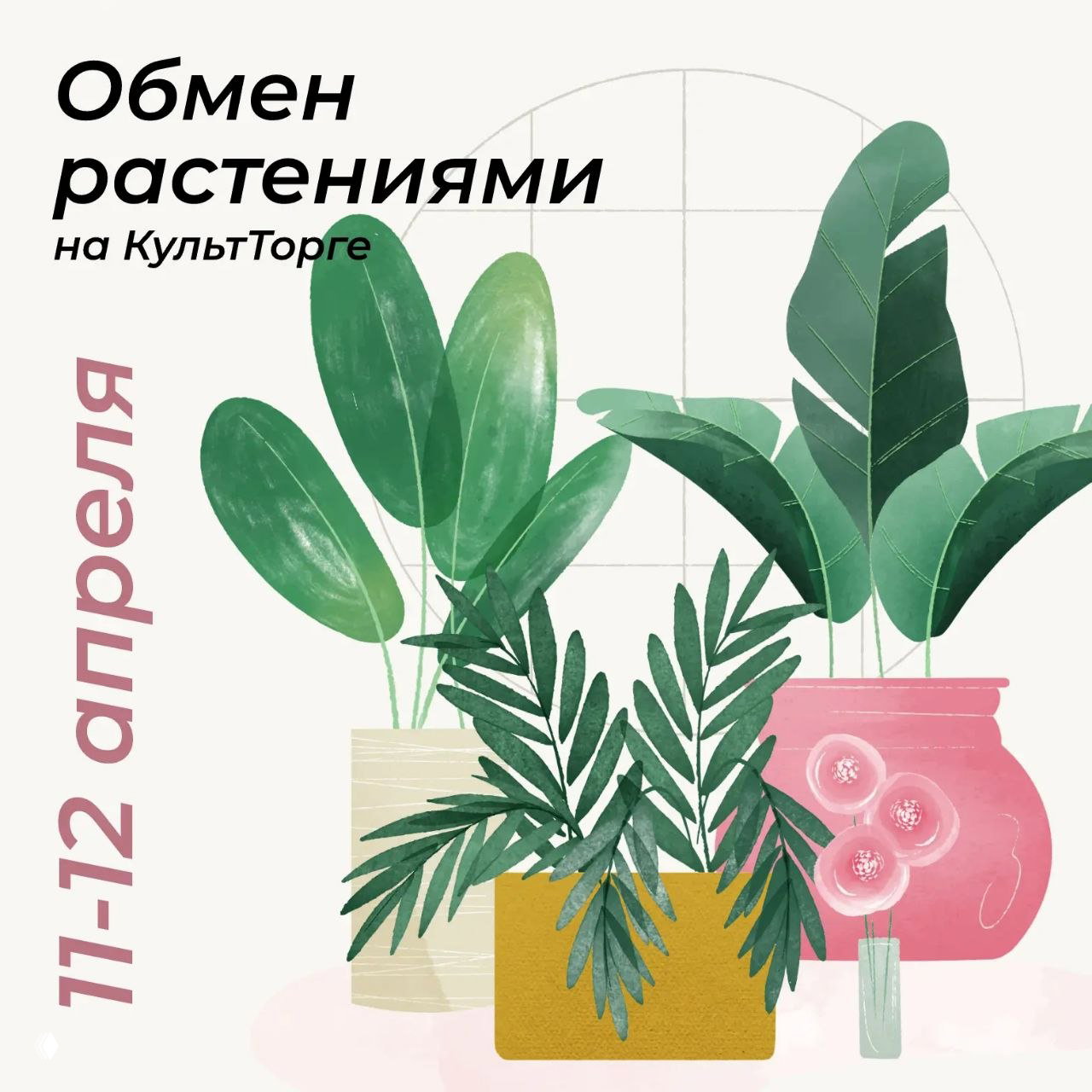 Растения и цветочный своп на КультТорге