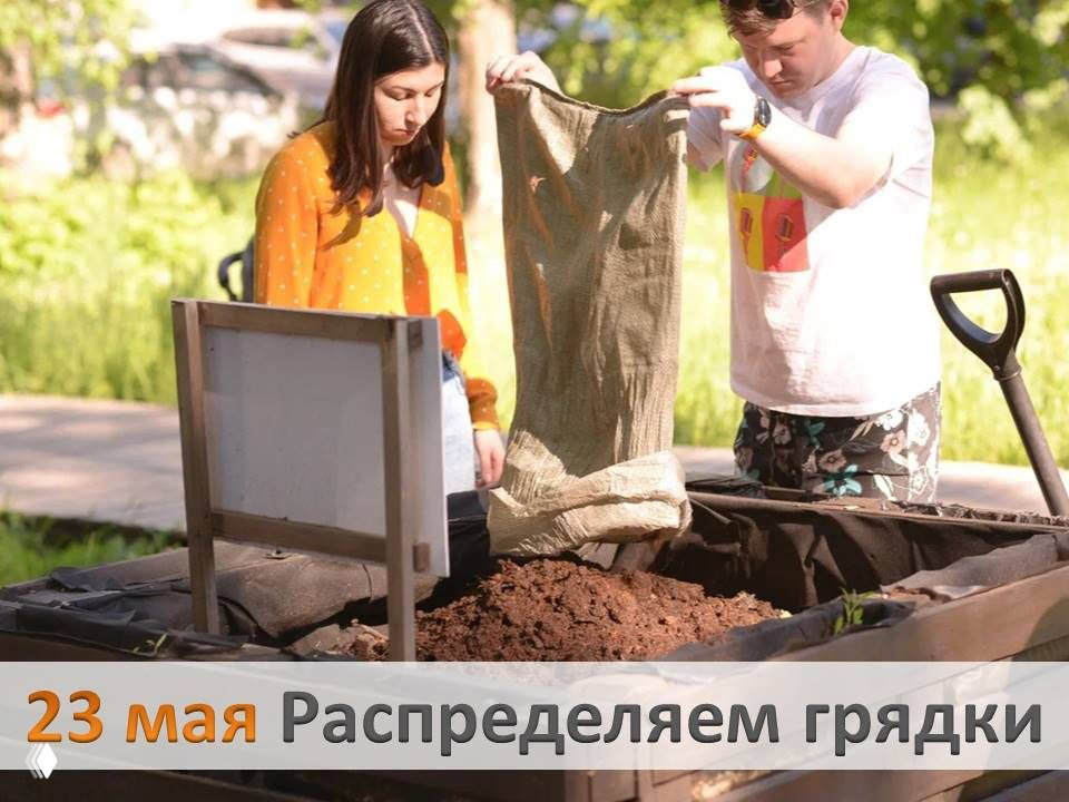 Грядки в парке Урицкого — 23 мая в Казани