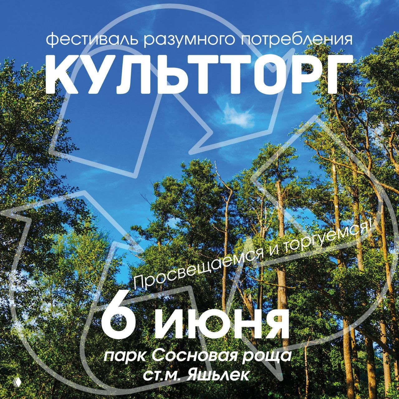 КультТорг. Лето. Парк — 6 июня, Сосновая роща