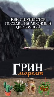 Афиша с логотипом «Гринмаркет», иллюстрацией дороги и несколькими горшочными растениями на фоне—реклама события.