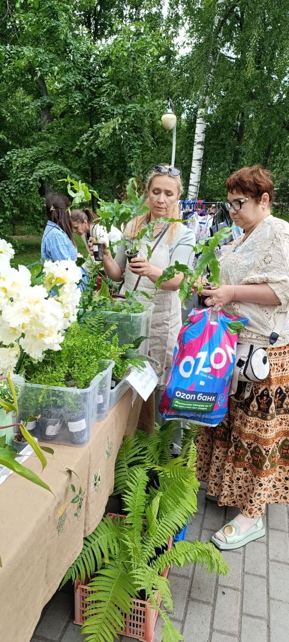 Продавец и покупатели рассматривают саженцы и комнатные растения на столе; видна зелень и пластиковые контейнеры с растениями для продажи.