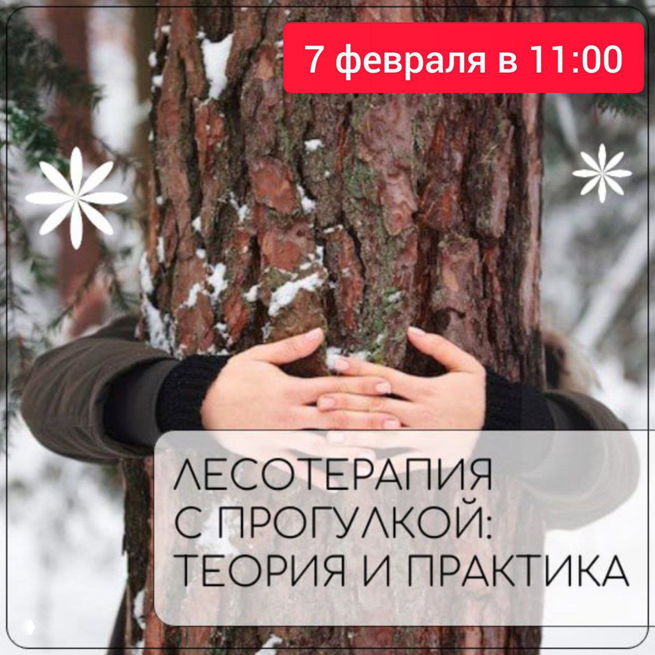 Лесотерапия с прогулкой: теория и практика