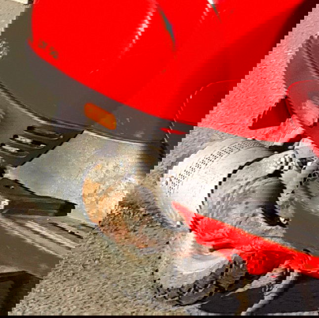 Потеплело до +10 — открывать сезон?