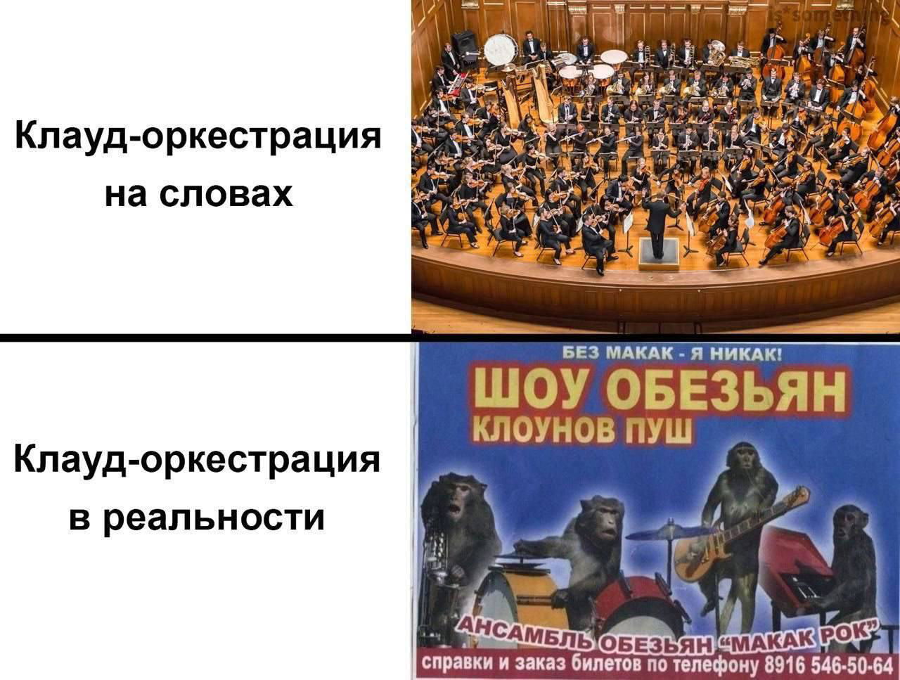 Без макак - я никак