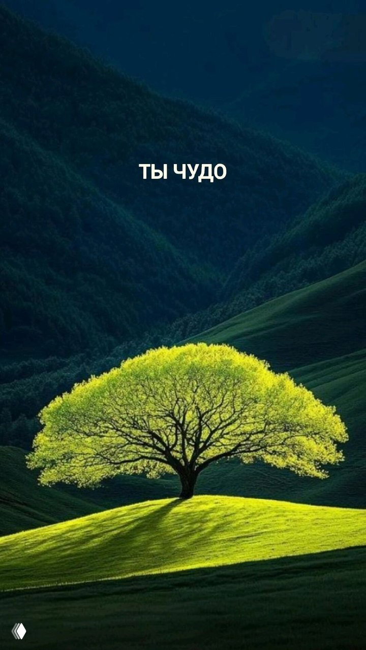 Каждый звук физически что-то делает с миром.