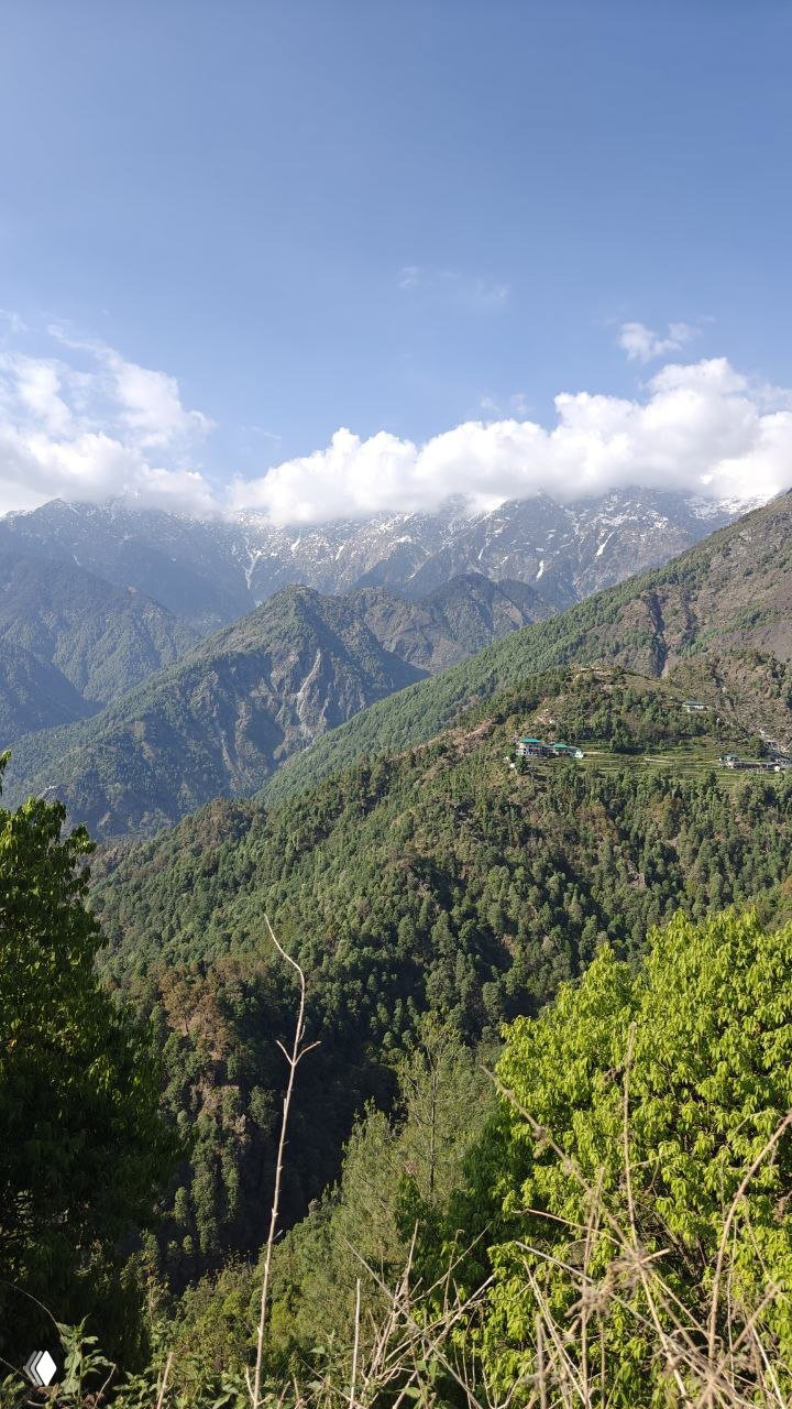 Панорамный вид на лесистые холмы и заснеженные вершины Гималаев под голубым небом; горный пейзаж и удалённые поселения.