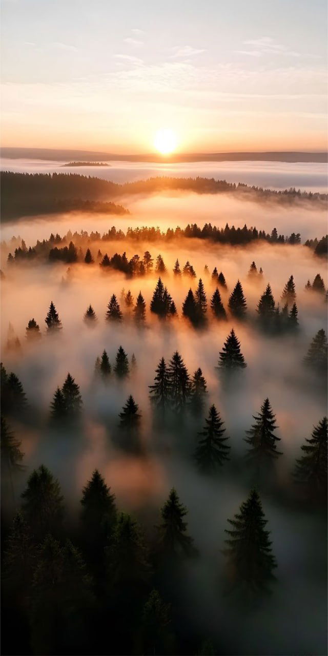 Вайб кодинг и общение с ИИ