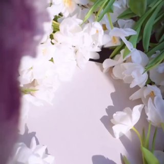 Крупный план белых весенних цветов на столе рядом с размытым фиолетовым фоном; ощущение лёгкой сервировочной композиции для обеда или чаепития.