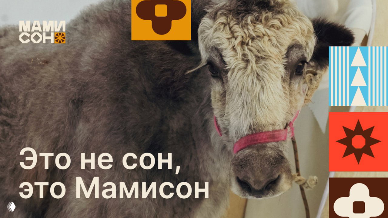 Крупный кадр фрагмента брендинга Мамисон с изображением животного-талисмана и слоганом «Это не сон, это Мамисон» на текстурном фоне.