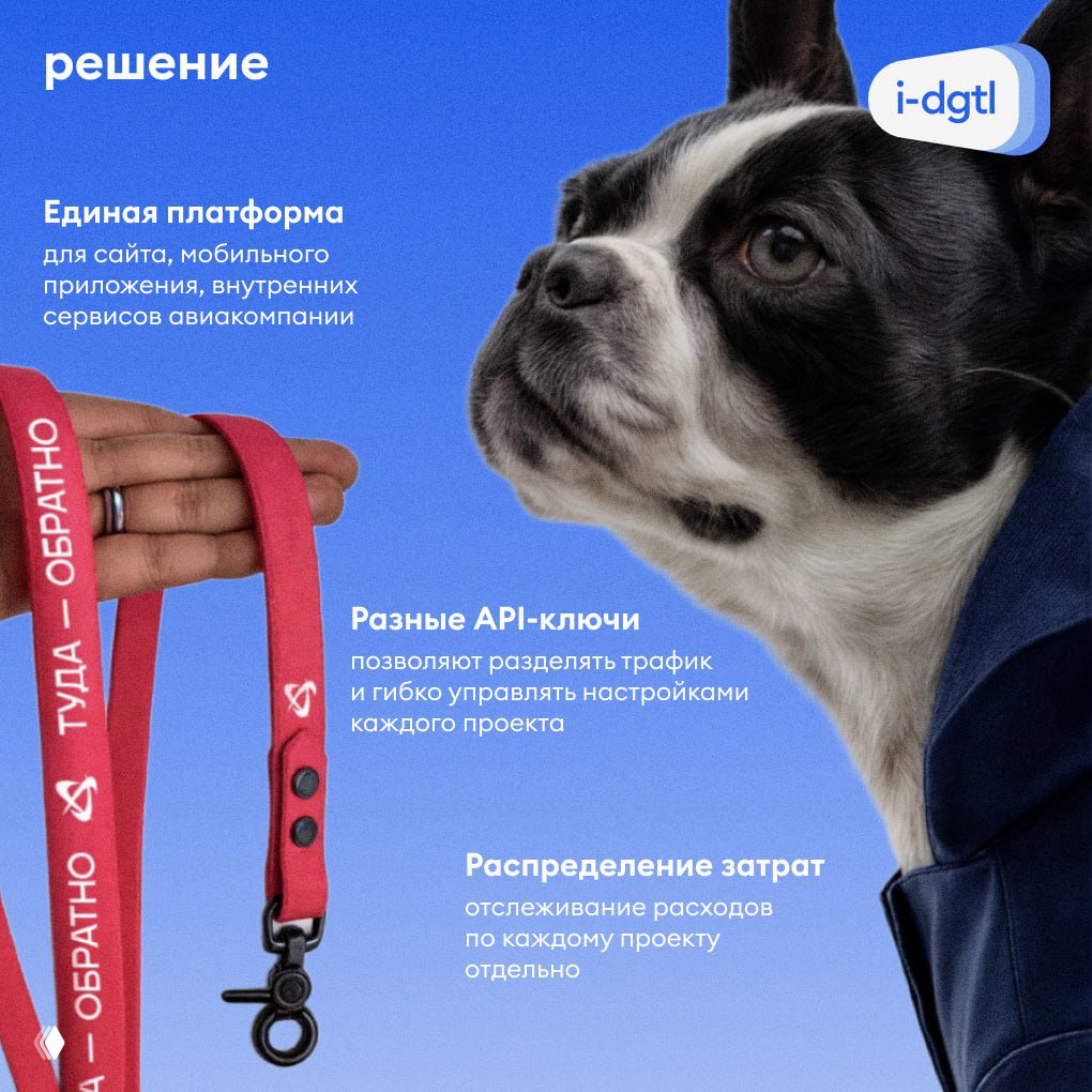 Крупный план с собакой и красным шнурком/брелоком с логотипом, визуал раздела о разных API‑ключах и гибком управлении проектами в платформе.