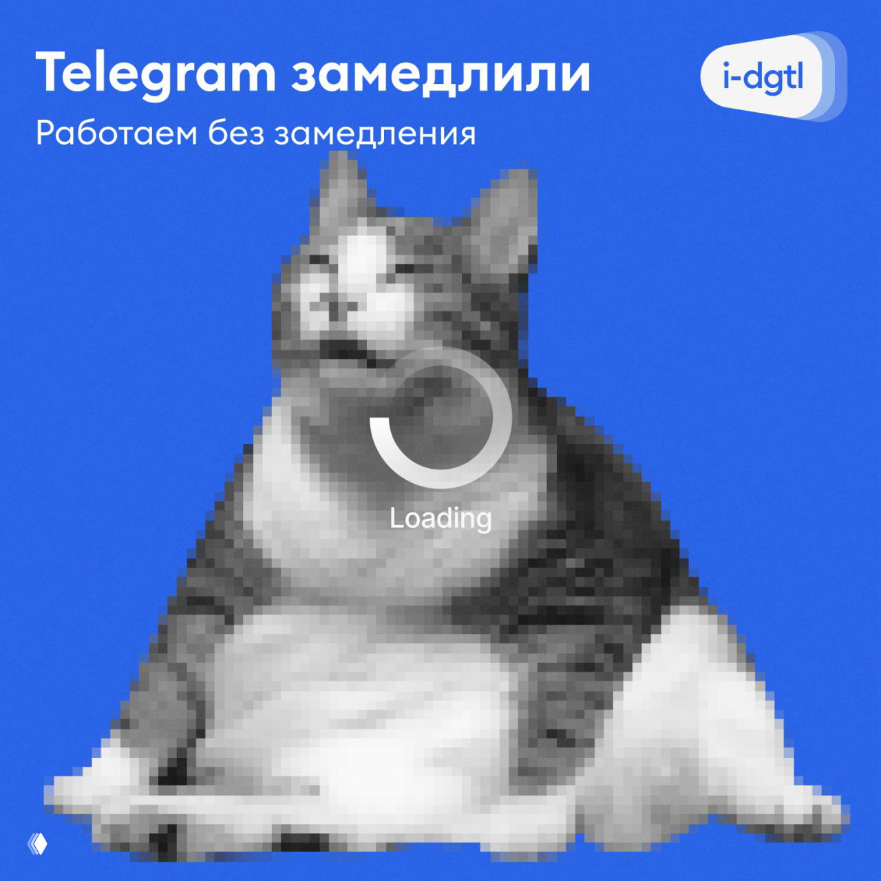 Telegram замедлили. Мы работаем без замедления