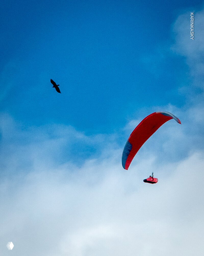 Парапланерист в красном крыле высоко в небе, рядом летит птица; крупный план на крыло и облака на фоне.