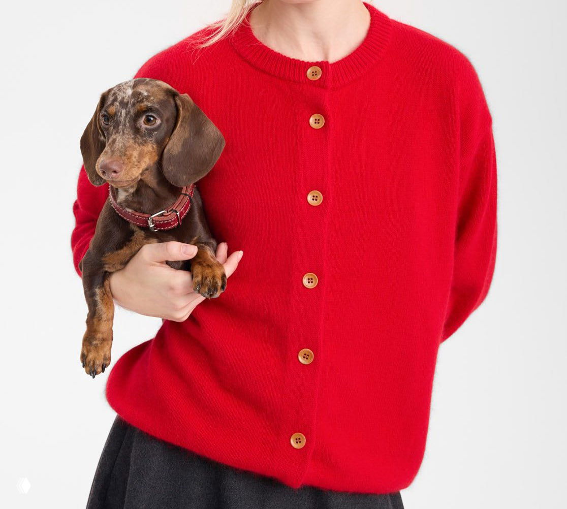 Красный вязаный кардиган с пуговицами на модели; модель держит таксу в руках, подчёркивая уютный и живой образ.