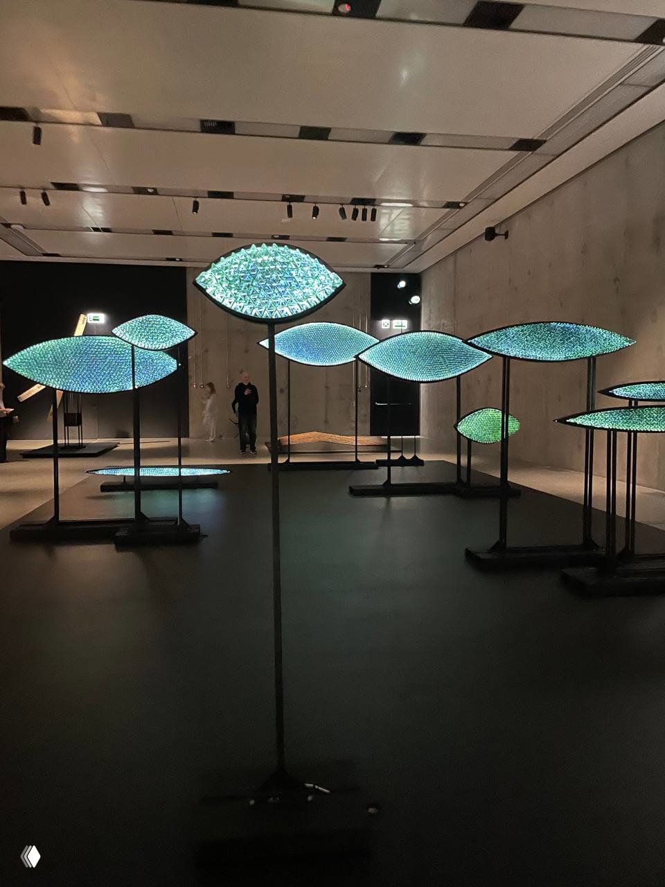 Тёмная галерея с инсталляциями: несколько светящихся органических форм в виде листьев/пластин на стойках, мягкое бирюзово‑зелёное свечение и минималистичная комнатная обстановка.