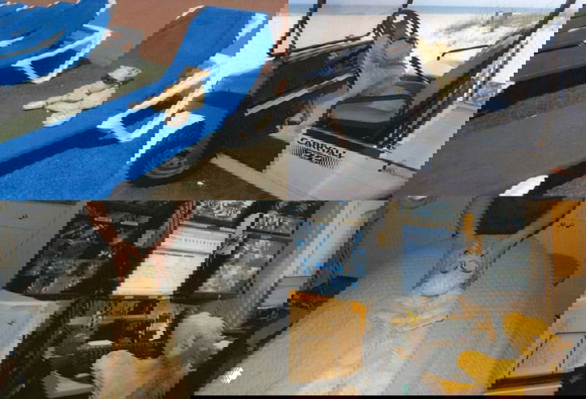 Жираф Джоши из Ritz-Carlton — гостеприимство и право выбора