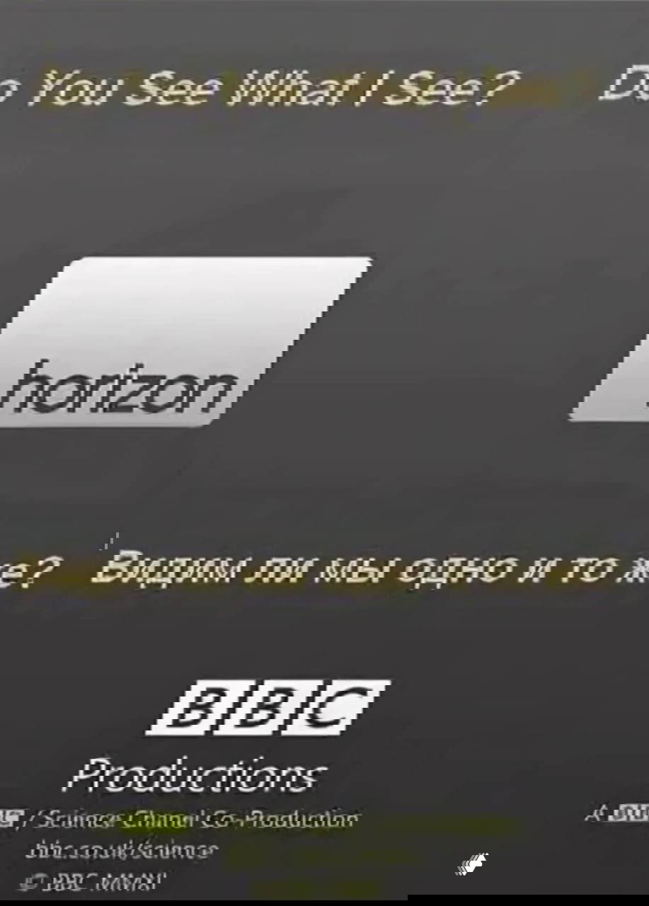 Постер BBC‑фильма «Do You See What I See?» с заголовком и логотипом BBC; визуализация темы восприятия и цвета.