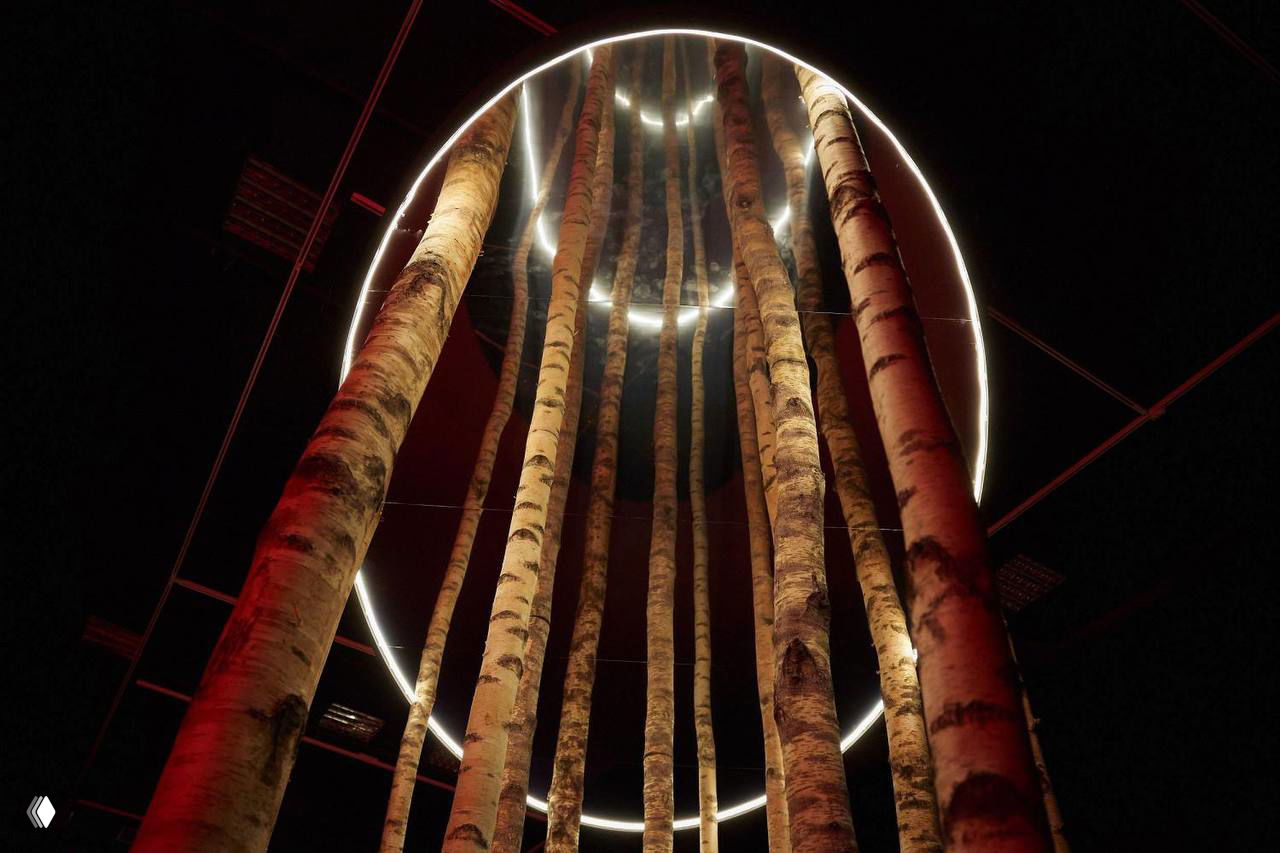 Инсталляция с вертикальными берёзовыми стволами в круговой подсветке, имитирующая лесную атмосферу и приглашающая к объятию дерева.