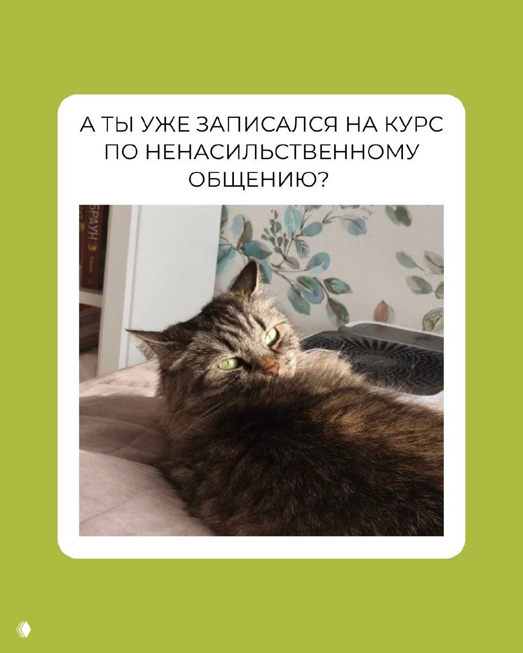 Крупный план тёмного пушистого кота на диване в домашней комнате; видны обои и часть мягкой мебели, уютный ракурс.