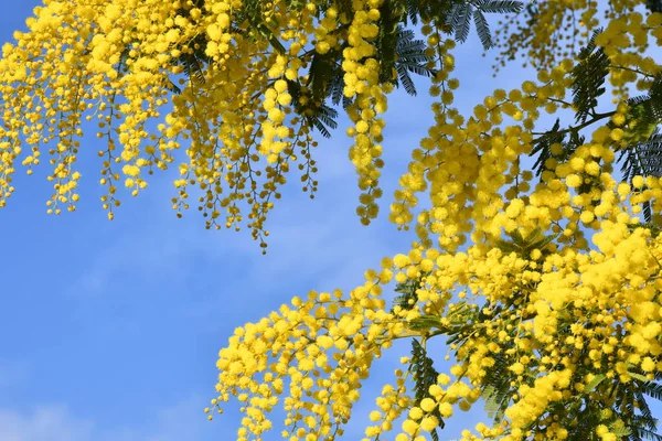 8 марта в «Пространстве МЫ»: пространство для близости